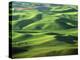 Wheat Fields, Palouse, Steptoe Butte State Park, Whitman County, Washington, USA-Charles Gurche-Premier Image Canvas