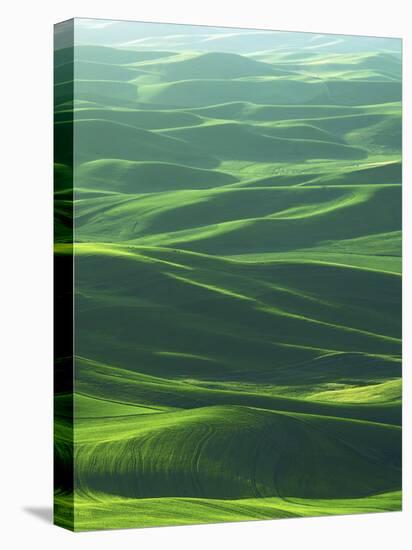 Wheat Fields, Palouse, Steptoe Butte State Park, Whitman County, Washington, USA-Charles Gurche-Premier Image Canvas