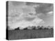 Wheat Harvest Time with Two Lines of Combines Lining Up in Field with Threatening Sky-Joe Scherschel-Premier Image Canvas