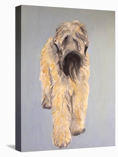Wheaten Terrier-Sally Muir-Premier Image Canvas