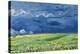 Wheatfield under Thunderclouds, 1890-Vincent van Gogh-Premier Image Canvas