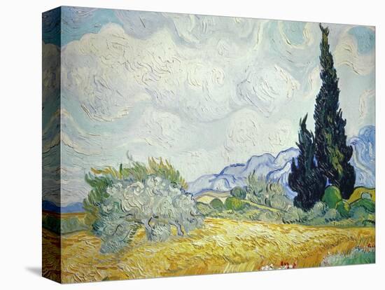 Wheatfield with Cypresses, 1889-Vincent van Gogh-Premier Image Canvas