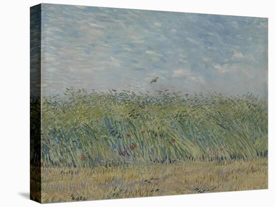 Wheatfield with Partridge, 1887-Vincent van Gogh-Premier Image Canvas