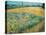 Wheatfield-Vincent van Gogh-Premier Image Canvas