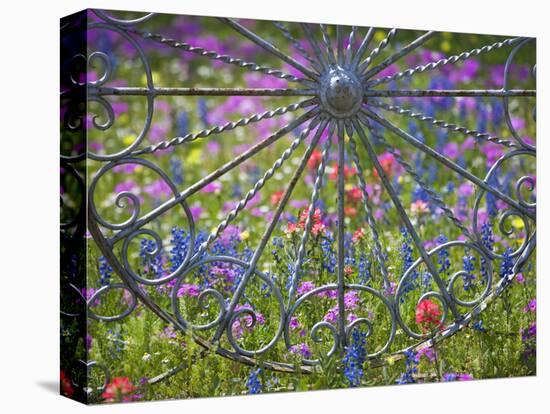 Wheel Gate and Fence with Blue Bonnets, Indian Paint Brush and Phlox, Near Devine, Texas, USA-Darrell Gulin-Premier Image Canvas