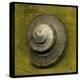 Whelk Crown-John W Golden-Premier Image Canvas