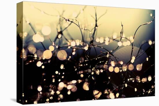 When Fairies Dance-Incredi-Premier Image Canvas