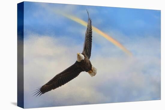 When My Wings Touch the Rainbow-Jai Johnson-Premier Image Canvas