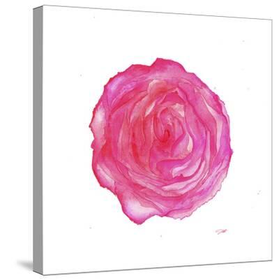'Where the Roses Bloom Again' Stretched Canvas Print Jessica Durrant