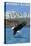 Whidbey Island, Washington - Eagle Fishing-Lantern Press-Stretched Canvas