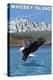 Whidbey Island, Washington - Eagle Fishing-Lantern Press-Stretched Canvas