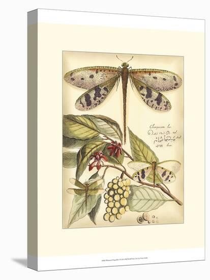 Whimsical Dragonflies I-Vision Studio-Stretched Canvas