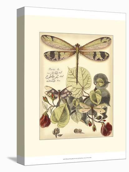 Whimsical Dragonflies II-Vision Studio-Stretched Canvas