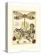 Whimsical Dragonflies II-Vision Studio-Stretched Canvas