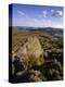 Whinstone Lee Tor and Derwent Moors, Derwent Edge, Peak District National Park, Derbyshire, England-Neale Clarke-Premier Image Canvas