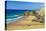 Whipsiderry Beach, Newquay, Cornwall-Tony Howell-Premier Image Canvas