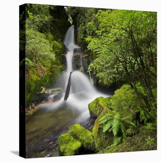 Whirinaki Falls, Whirinaki Forest Park, Bay of Plenty, North Island, New Zealand-Rainer Mirau-Premier Image Canvas