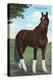 Whirlaway, Kentucky Derby Winner-null-Stretched Canvas