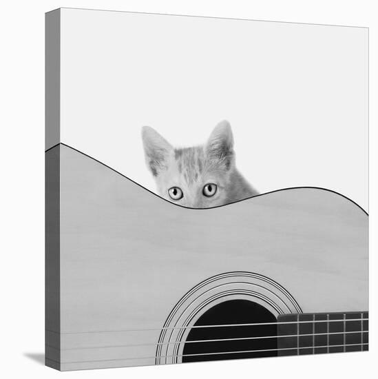 Whiskers and Strings-Jon Bertelli-Premier Image Canvas