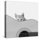 Whiskers and Strings-Jon Bertelli-Premier Image Canvas