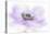 Whisper-Jacky Parker-Premier Image Canvas