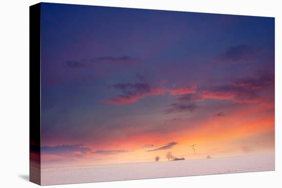 Whispers in the Sky-Philippe Sainte-Laudy-Premier Image Canvas