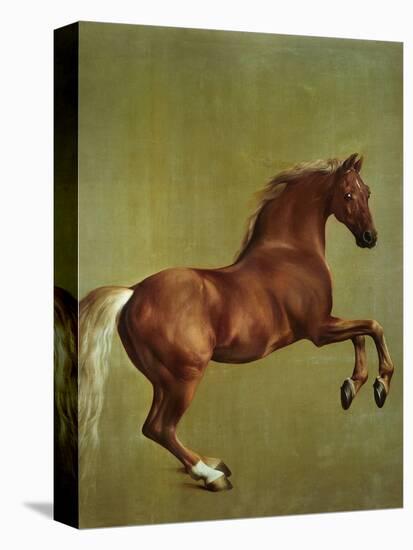 Whistlejacket, 1762-George Stubbs-Premier Image Canvas