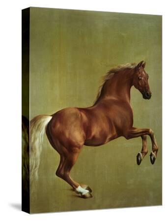 Whistlejacket by George Stubbs on Framed Canvas Pictures City Artwork Prints