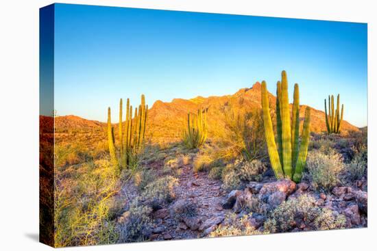 Whistling Organ Pipes-Anton Foltin-Premier Image Canvas