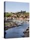 Whitby and the River Esk from the New Bridge, Whitby, North Yorkshire, Yorkshire, England, UK-Mark Sunderland-Premier Image Canvas