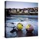 Whitby Harbour-Craig Roberts-Premier Image Canvas