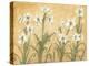 White Amaryllis Garden-Cheri Blum-Stretched Canvas