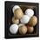 White and Brown Eggs in Basket-John Wilkes-Premier Image Canvas