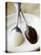 White and Dark Couverture on Spoons-Debi Treloar-Premier Image Canvas