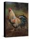 White And Green Rooster-Nenad Mirkovich-Stretched Canvas