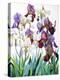 White and Purple Irises-Christopher Ryland-Premier Image Canvas