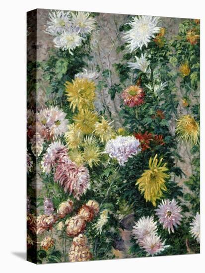 White and Yellow Chrysanthemums, 1893-Gustave Caillebotte-Premier Image Canvas