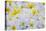 White and Yellow Frangipani-Darrell Gulin-Premier Image Canvas