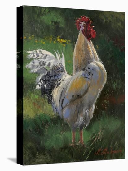 White And Yellow Rooster-Nenad Mirkovich-Stretched Canvas