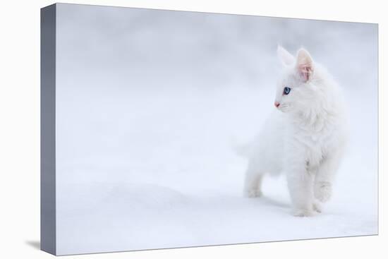 White as Snow-Esmée Prexus-Premier Image Canvas