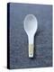 White Asian Soup Spoon-Jean Cazals-Premier Image Canvas