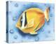 White Banded Island Fish-Dona Turner-Stretched Canvas
