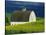 White Barn and Canola Field-Darrell Gulin-Premier Image Canvas