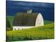 White Barn and Canola Field-Darrell Gulin-Premier Image Canvas
