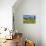 White Barn and Flag-Robert Goldwitz-Premier Image Canvas displayed on a wall