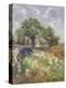 White Barn and Iris Field, 1992-Timothy Easton-Premier Image Canvas