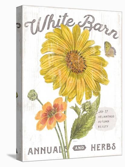 White Barn Flowers I-Sue Schlabach-Stretched Canvas