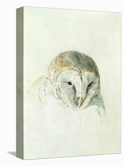White Barn Owl, from the Farnley Book of Birds, C.1816-J. M. W. Turner-Premier Image Canvas