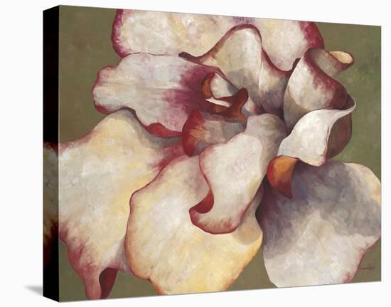 White Begonia-Maria Torróntegui-Stretched Canvas