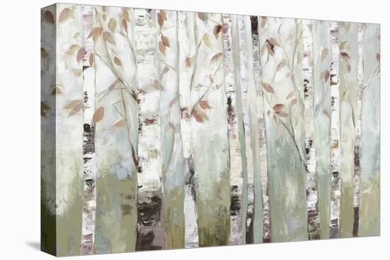 White Birch Forest-Allison Pearce-Stretched Canvas